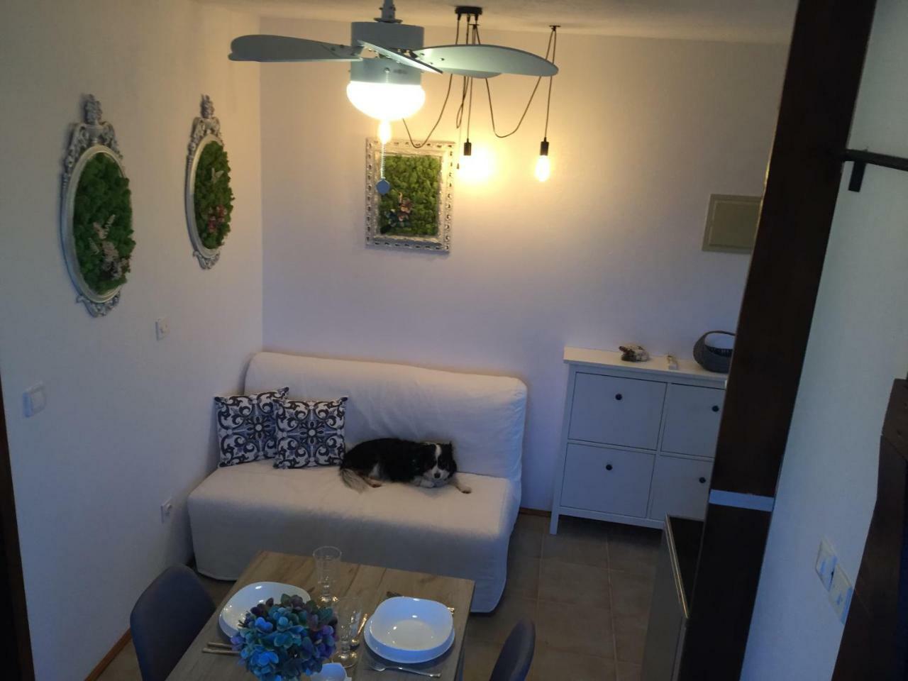 Boba'S House Apartment Сутиван Екстериор снимка